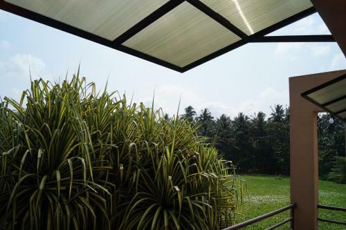 Sri Beach Bungalows And Villa