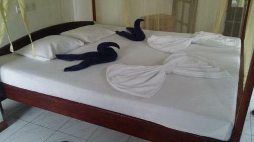 Hostal Gayana Guest House