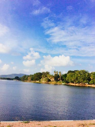 The Green View Yala