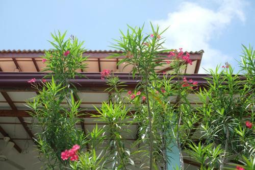 Hostal Yala Leopard Paradise Safari