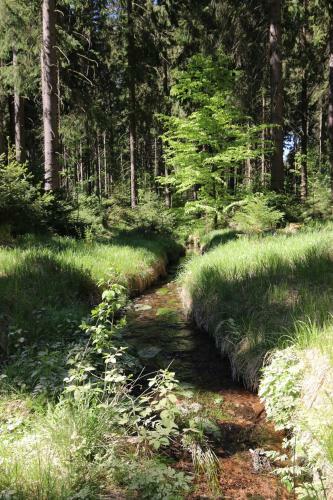 Apartamento Erzgebirgsferien