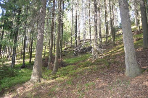 Agroturismo House U Chetyrekh Ozer