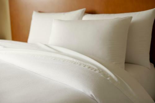 Hotel Hyatt House Shelton