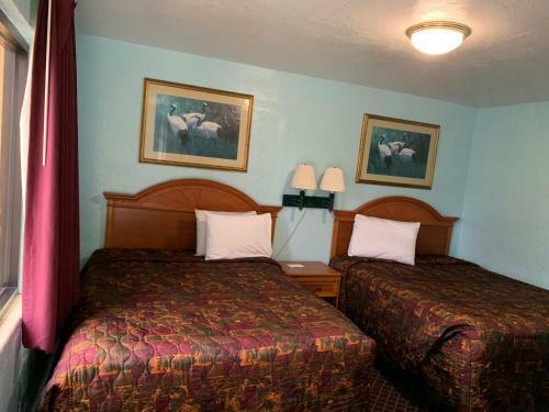 Motel Travel Inn Daytona