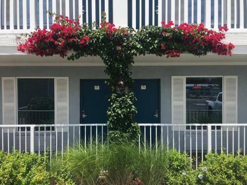 Motel Southern Oaks Inn - Saint Augustine
