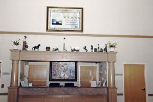 Hotel Best Western Plus Dfw Airport Suites