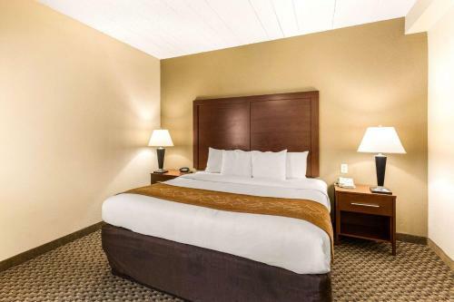 Hotel Comfort Suites Columbia Gateway