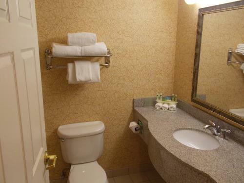 Hotel Holiday Inn Express Syracuse-fairgrounds