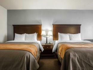 Hotel Comfort Inn Lumberton