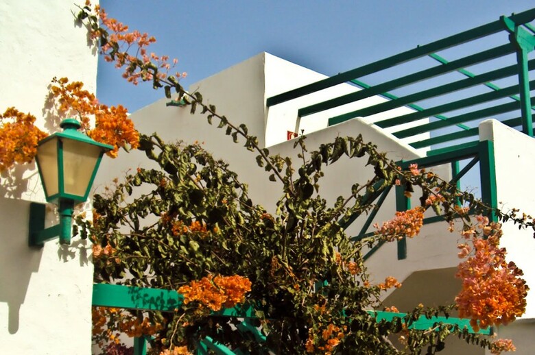 Apartamentos Celeste