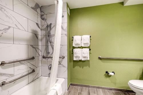 Hotel Quality Inn & Suites Plano