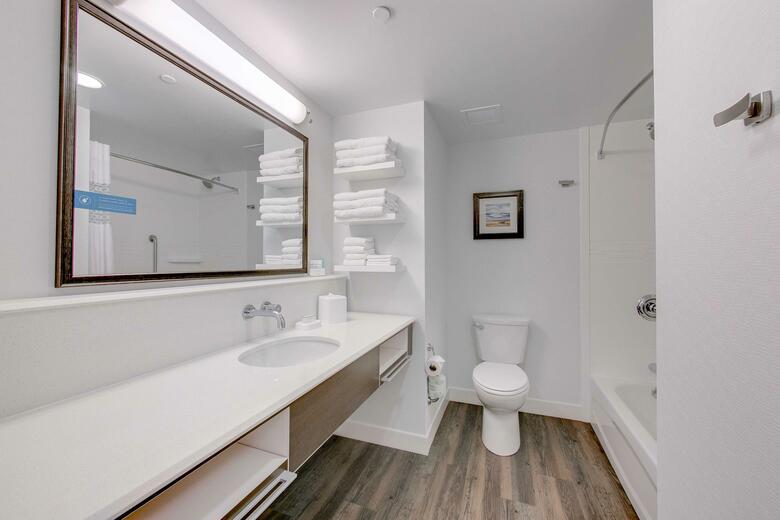 Hotel Hampton Inn & Suites North Houston Spring