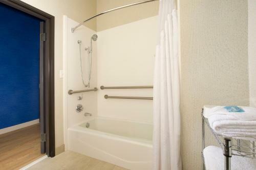 Hotel Holiday Inn Express & Suites Charlottesville North