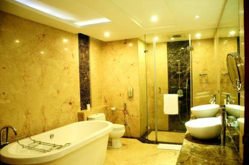Hotel Radisson Blu Plaza Delhi