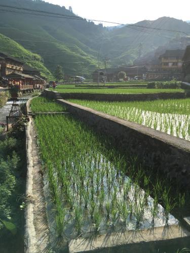 Posada Guilin Longsheng Wisdom Inn