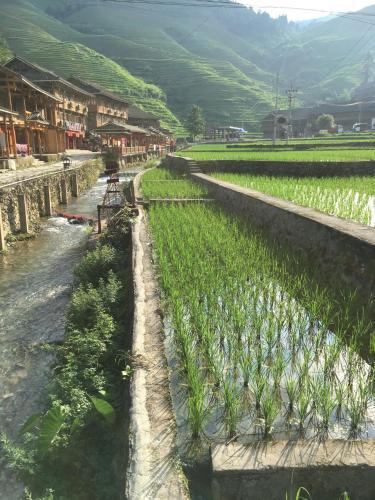 Posada Guilin Longsheng Wisdom Inn