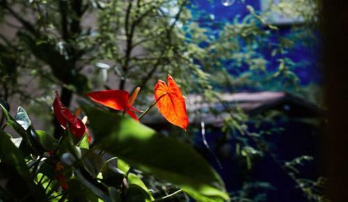 Hotel Mes�n de Leyendas Downtown & Garden