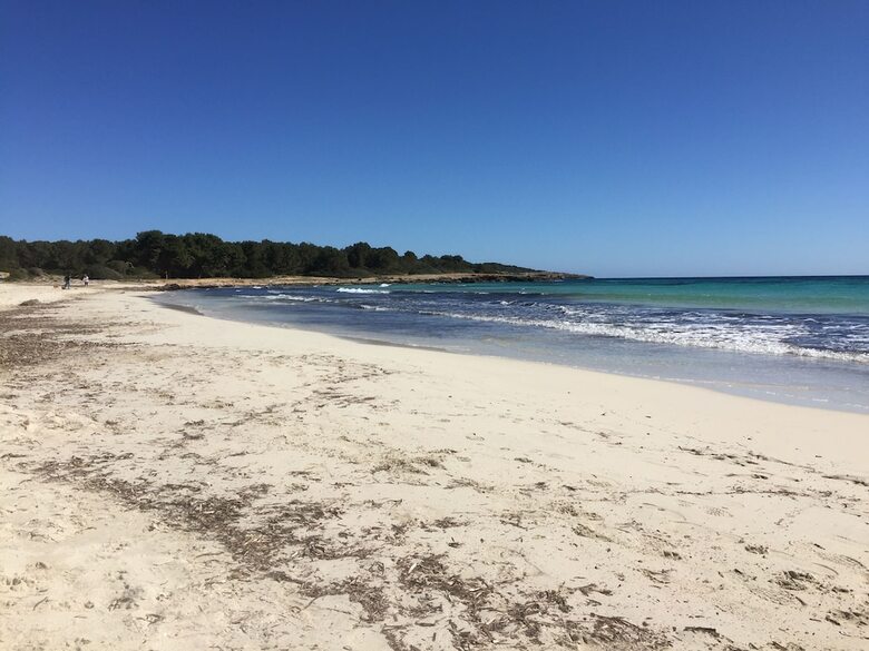 Apartamentos Club Sa Coma