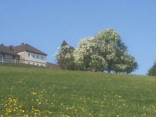 Apartamento Ferienwohnungen K�ssl
