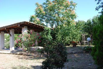 Agroturismo Tenuta Il Pino