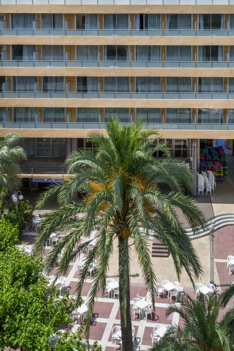 Hotel Medplaya Calypso