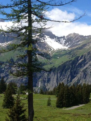 Apartamento Appartment Chalet Sonnenheim