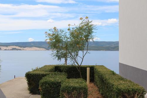 Apartments By The Sea Zavode (Omis) - 1021