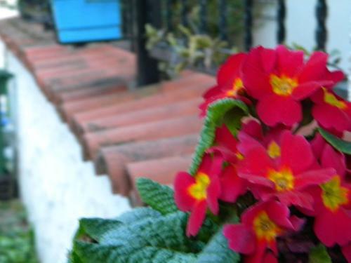 Hostal Villa Sapanca Butik Konukevi
