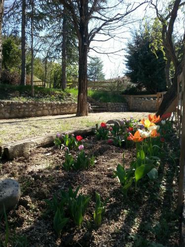 Bed & Breakfast Le Mas De La Colombe