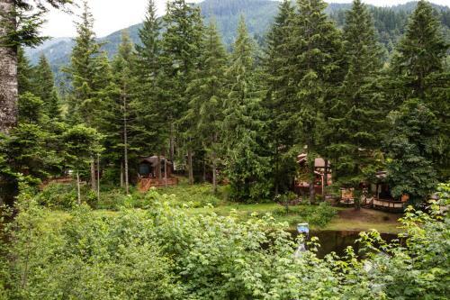 Mount Hood Village Premium Yurt 3