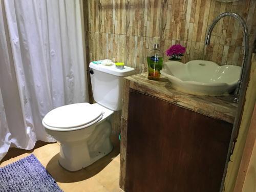 Apartamento Habitacion Pura Vida
