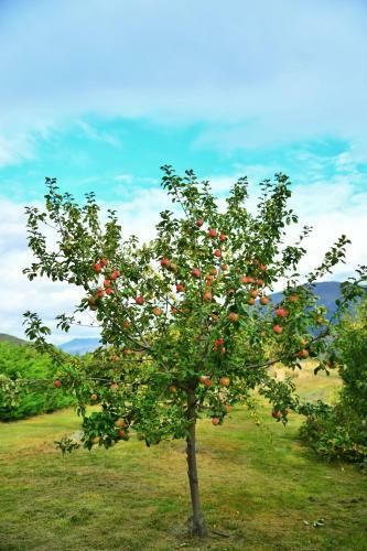 Agroturismo 1220 Gibbston Lodge