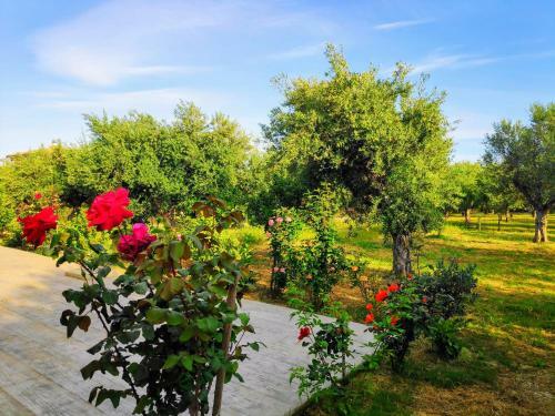 Apartamento Casa Di Porto Roma