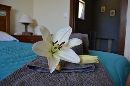 Agroturismo Villa Monte Da Alfarrobeira