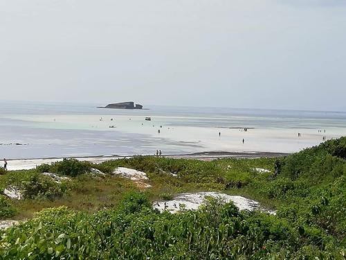 Turtle Bay Bed And Breakfast