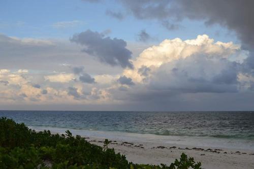 Turtle Bay Bed And Breakfast