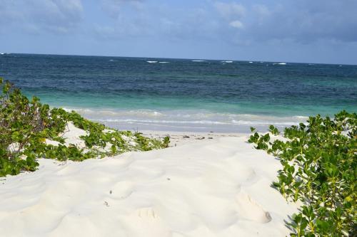 Turtle Bay Bed And Breakfast