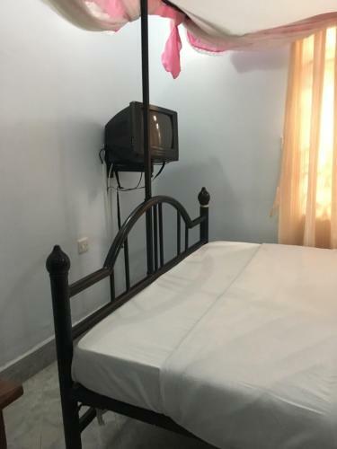 Bed & Breakfast Kutetere Motel