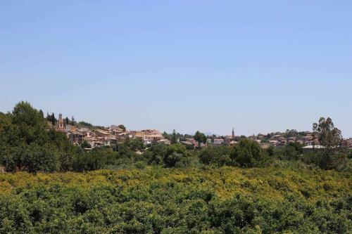 Agroturismo Casa Rural Lartesola Sierra Espad�n Onda Artesa