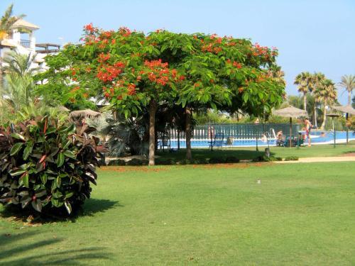 Apartamento Venavera Playa Jardines J6-0a