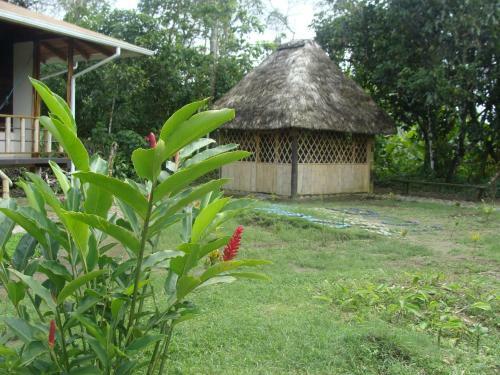 Hotel Shaman Lodge