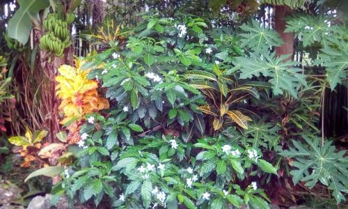 Bed & Breakfast Simon House