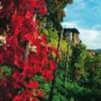 Best Western Hotel Jena