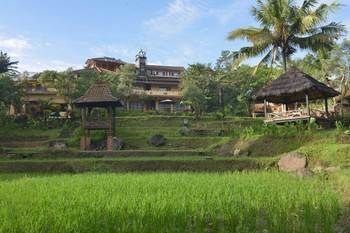 Hotel Paddy City Resort Malang