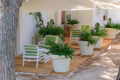 Hotel Baia Delle Zagare