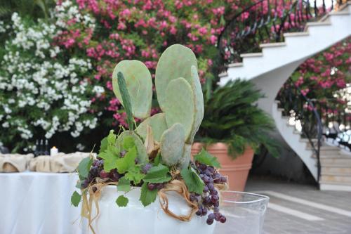 Hotel Baia Delle Zagare