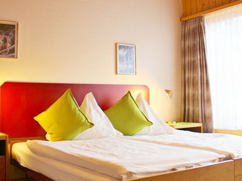 Hotel Alpina