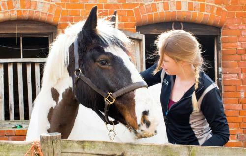Rew Farm Country & Equestrian Accommodation