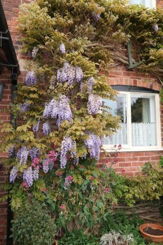 Bed & Breakfast The Barns Country Guesthouse
