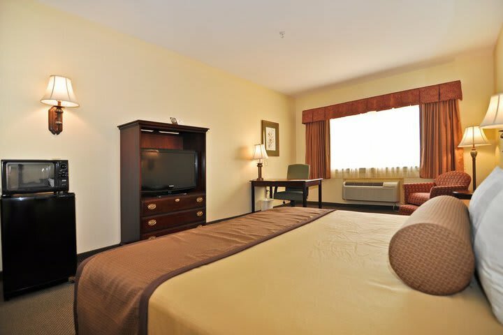 Hotel Best Western Houston Inn And Suites